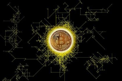 Bitcoin’s Surging Fees and Transactions: What’s Driving the Investor Exodus?