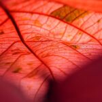 Unlock Crypto’s Future: Copper & Figment’s Bold Move in Institutional Staking