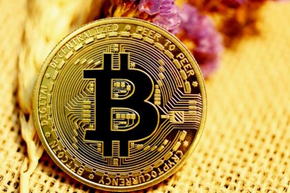 Bo Hines’ Bold Bitcoin Obsession: What’s Driving the Craze?