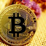 Bitcoin’s Fate: Bull Run Crash or Strategic Pause? Unveil Now!