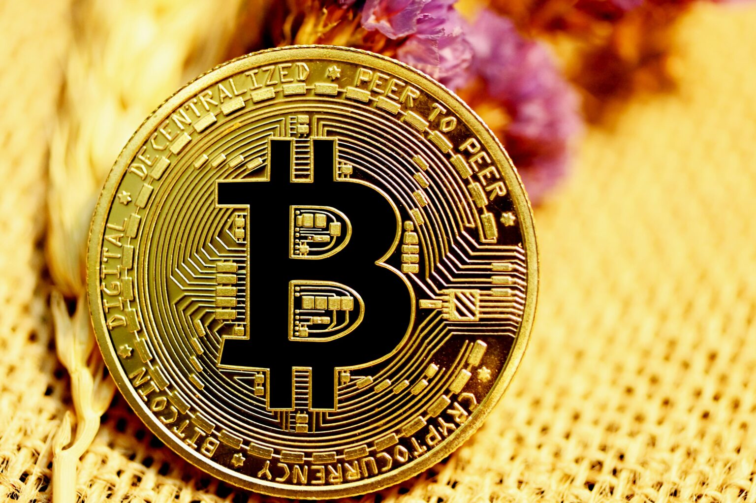 Bitcoin’s Fate: Bull Run Crash or Strategic Pause? Unveil Now!