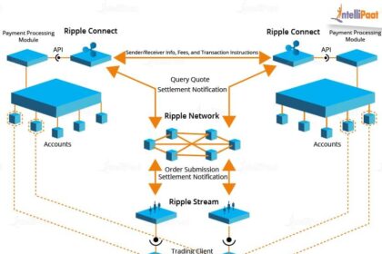 Ripple’s SEC Triumph Ignites XRP Surge: CEO’s Trump Gratitude Shocks Markets