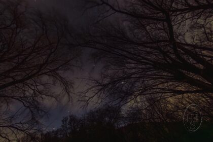 Crypto Revolution: Coinbase Urges SEC to Embrace Crypto for Staff