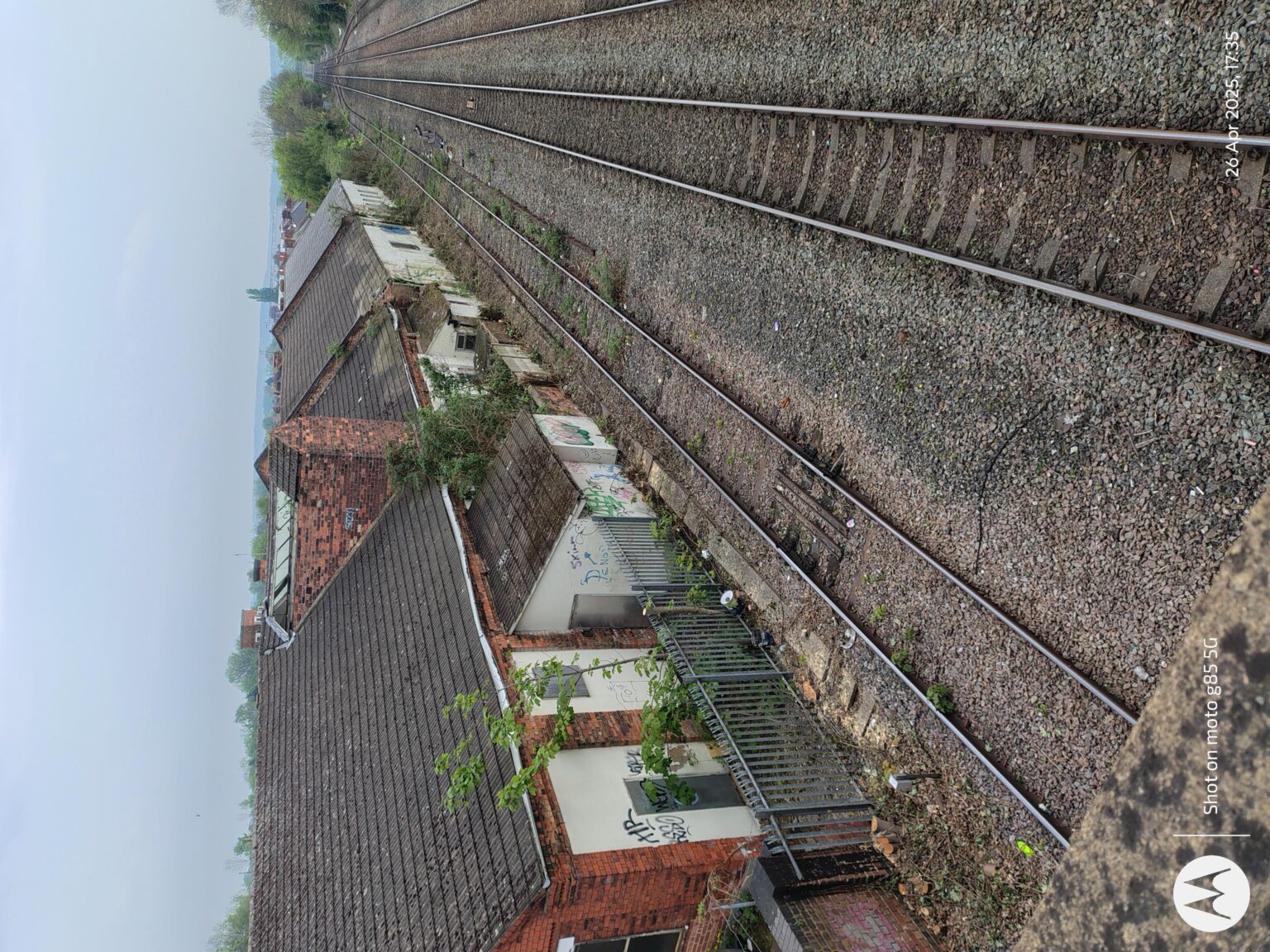 Revolution Unleashed: Paradigm’s $50M Bet on Solana’s AI Future!