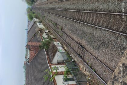 Revolution Unleashed: Paradigm’s $50M Bet on Solana’s AI Future!