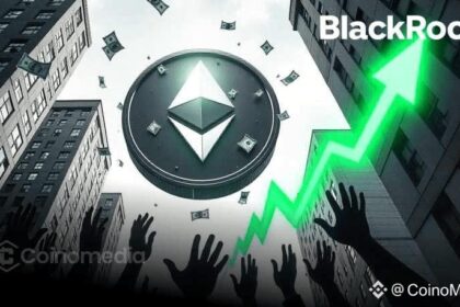 Unlock the Surge: Worldcoin, Hyperliquid’s Next-Gen Price Rover Moves Now!