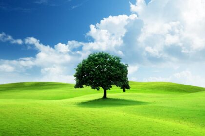 Jasmy’s Price Plunges: Whales Dumping Signals Looming Crisis?