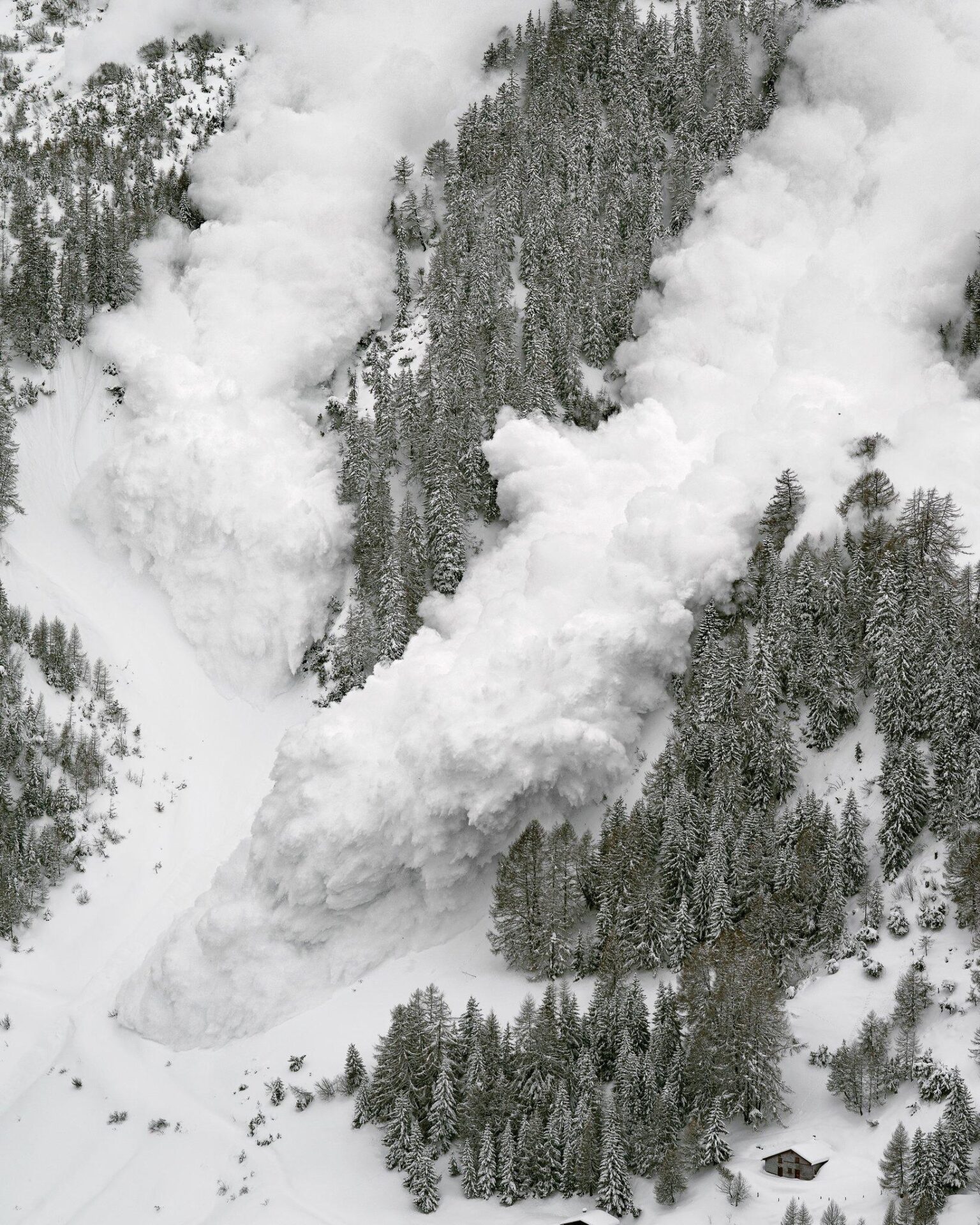 SEC’s Avalanche, Cardano ETF Fate Hangs in Balance: July Deadline Looms