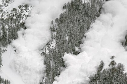 SEC’s Avalanche, Cardano ETF Fate Hangs in Balance: July Deadline Looms