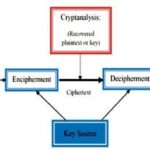 Decrypting DeFi: How Buybacks Ignite True Resilience — Uncover the Secret Now!