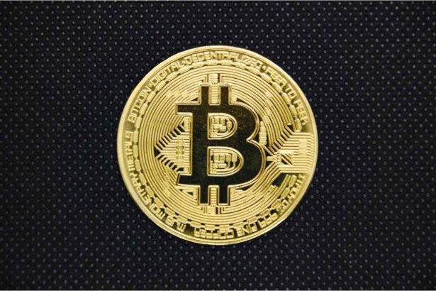 Fragbite Soars 64%: Unveiling Bold Bitcoin Treasury Plans Ahead