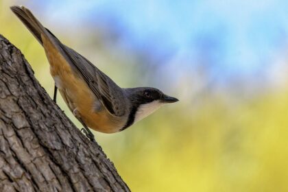 Crypto Insights Unveiled: Fed Signals Slowing Market, Jobs Steady Amid Turmoil!