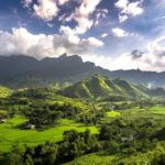 Vietnam’s Crypto Revolution: New Law Ignites Digital Future