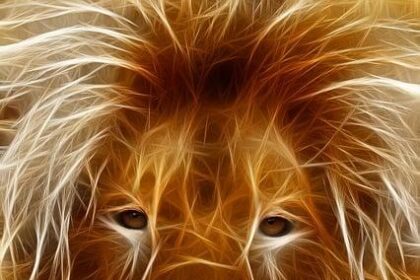 Crypto Revolution: Unveiling the Secret Format Behind Skyrocketing Investments!