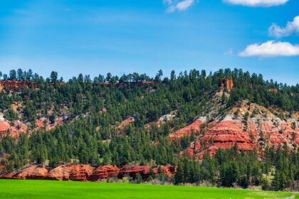 Wyoming’s Bold Choice: Sei Network Powers WYST, SEI Soars!