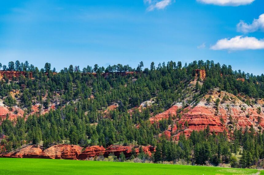 Wyoming’s Bold Choice: Sei Network Powers WYST, SEI Soars!