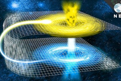 Unlock Sui’s Power: Momentum, Wormhole & OKX Team Up for Liquidity Surge