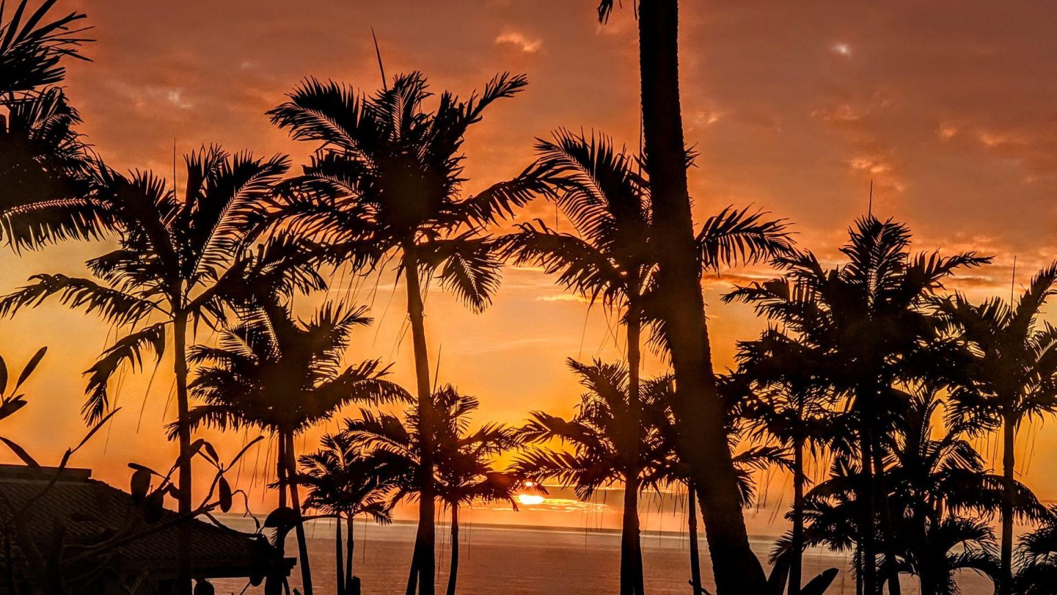 AVAX Soars: 715% Metric Boost Signals Imminent Price Explosion?