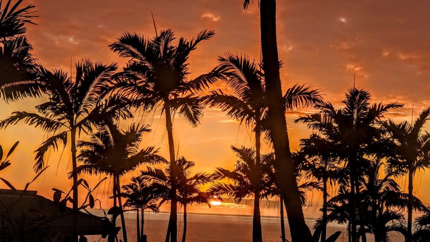 AVAX Soars: 715% Metric Boost Signals Imminent Price Explosion?