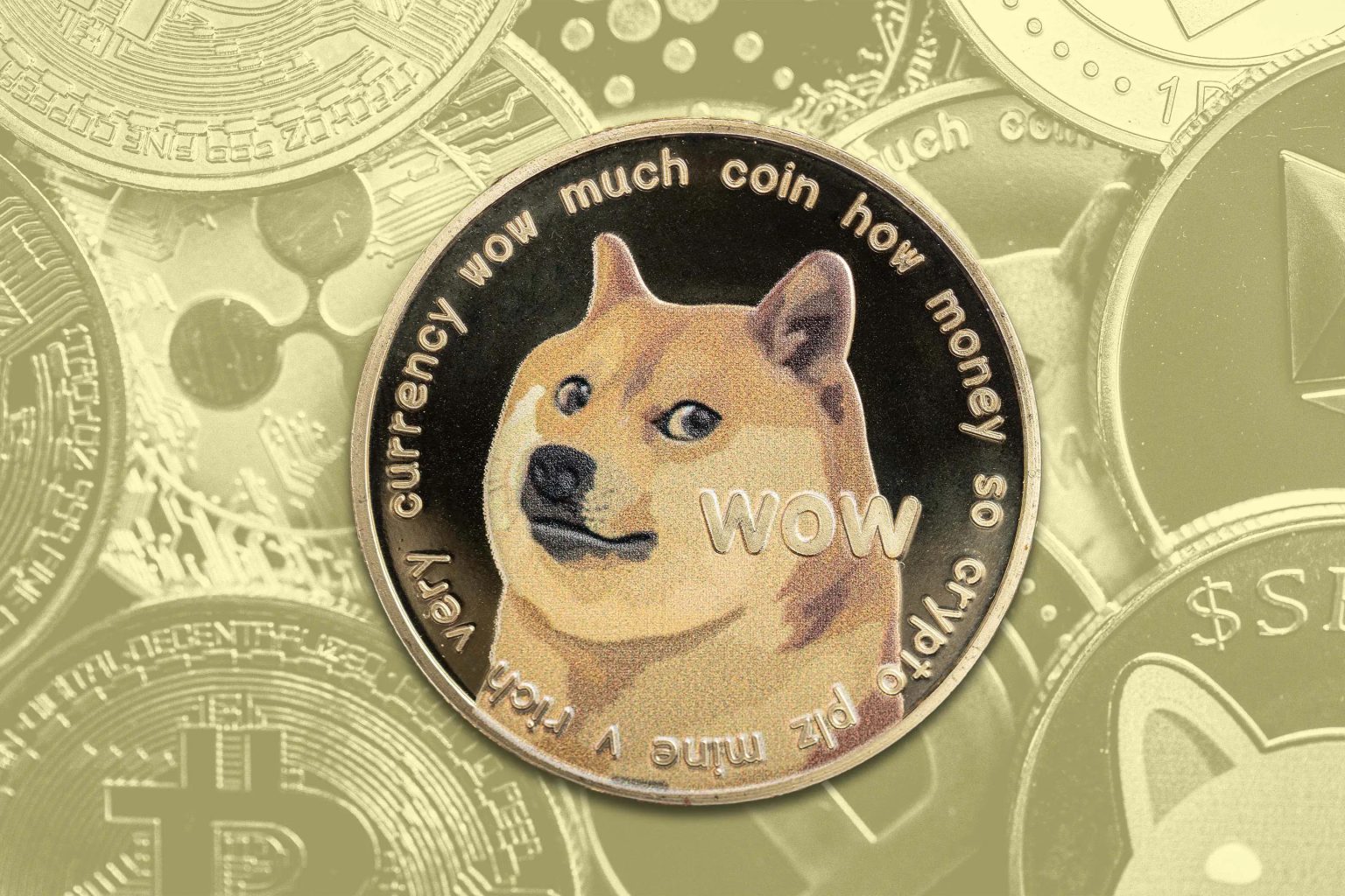 Dogecoin ETF Halted! 🚨 Can Price Crash Below $0.24? Discover Now