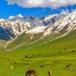 Pakistan Unveils Crypto Lifeline: A Global Call for Ultimate Exchange Licenses!