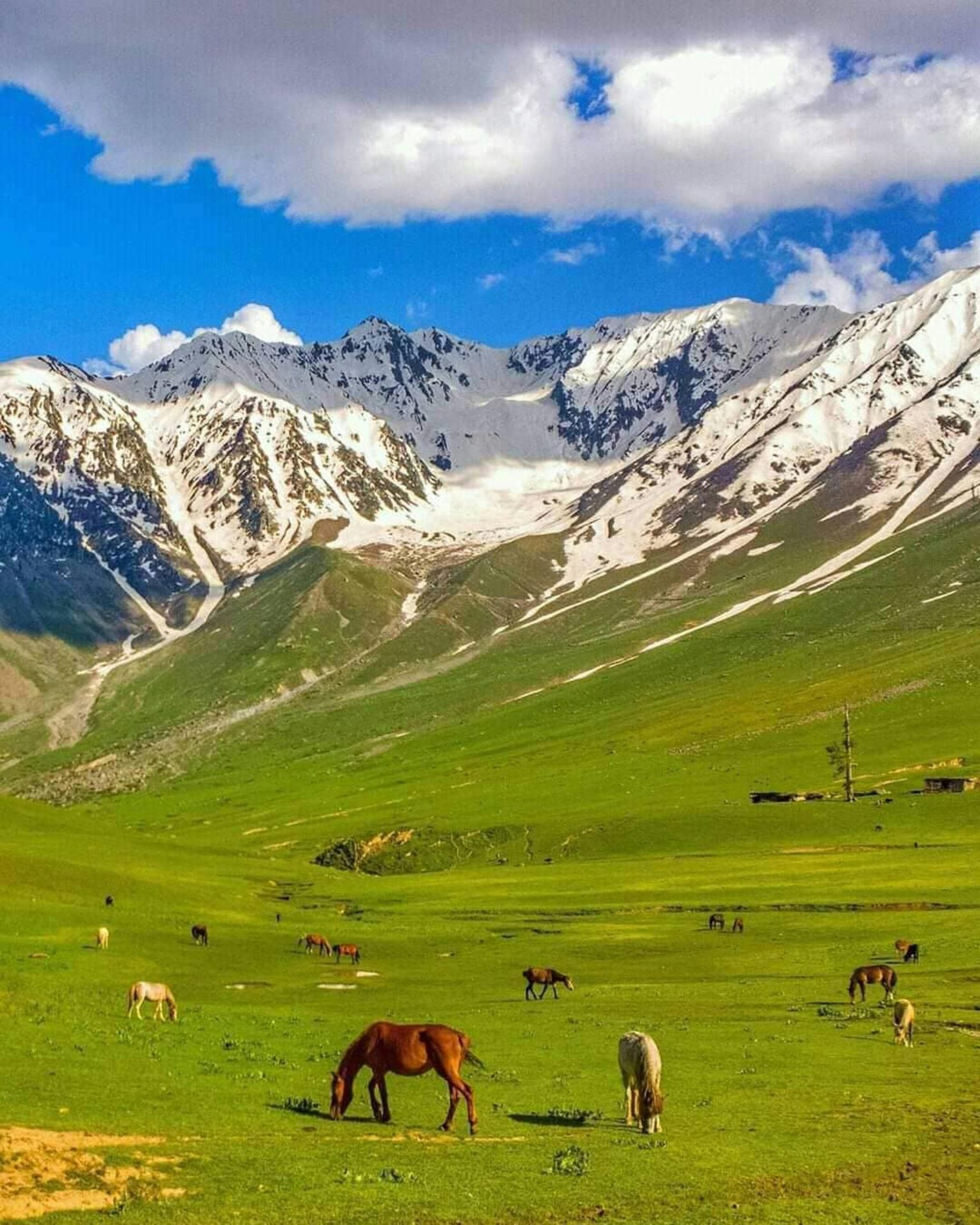 Pakistan Unveils Crypto Lifeline: A Global Call for Ultimate Exchange Licenses!