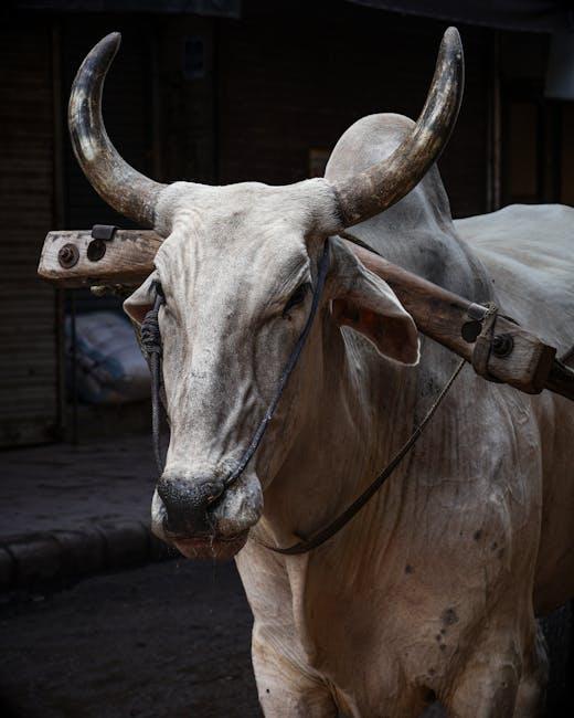 Unlock Seamless Crypto: OKX Singapore Revolutionizes GrabPay with Stablecoins!