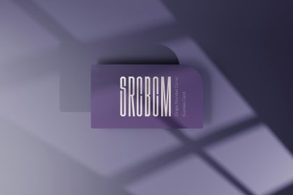 WSPN brings stablecoin settlement to ecommerce checkout