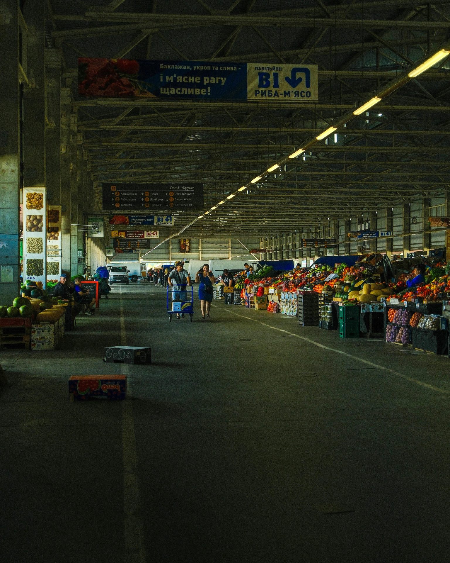 Up 440%, can the Robinhood stock price keep surging?