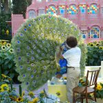 XRP price prediction as Fed cuts interest rate