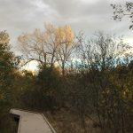 XRP price prediction: Is a $20 Ripple rally realistic or too good to be true?