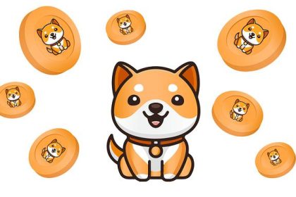 Shiba Inu price at risk: burn rate drops, whales exit, risky pattern forms
