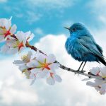 Sonic token price struggles at $0.17 as selling pressure mounts, new yearly low possible