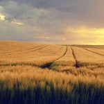 Pi Network price eyes rebound as top whale resumes buying