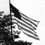 MetaMask adds 200+ tokenized U.S. stocks and ETFs via Ondo