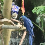 Stocks and crypto markets on edge as US inflation cools, Trump eyes steel tariff cuts