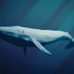 Bitcoin price forecast as whale deposits 10K BTC to Binance