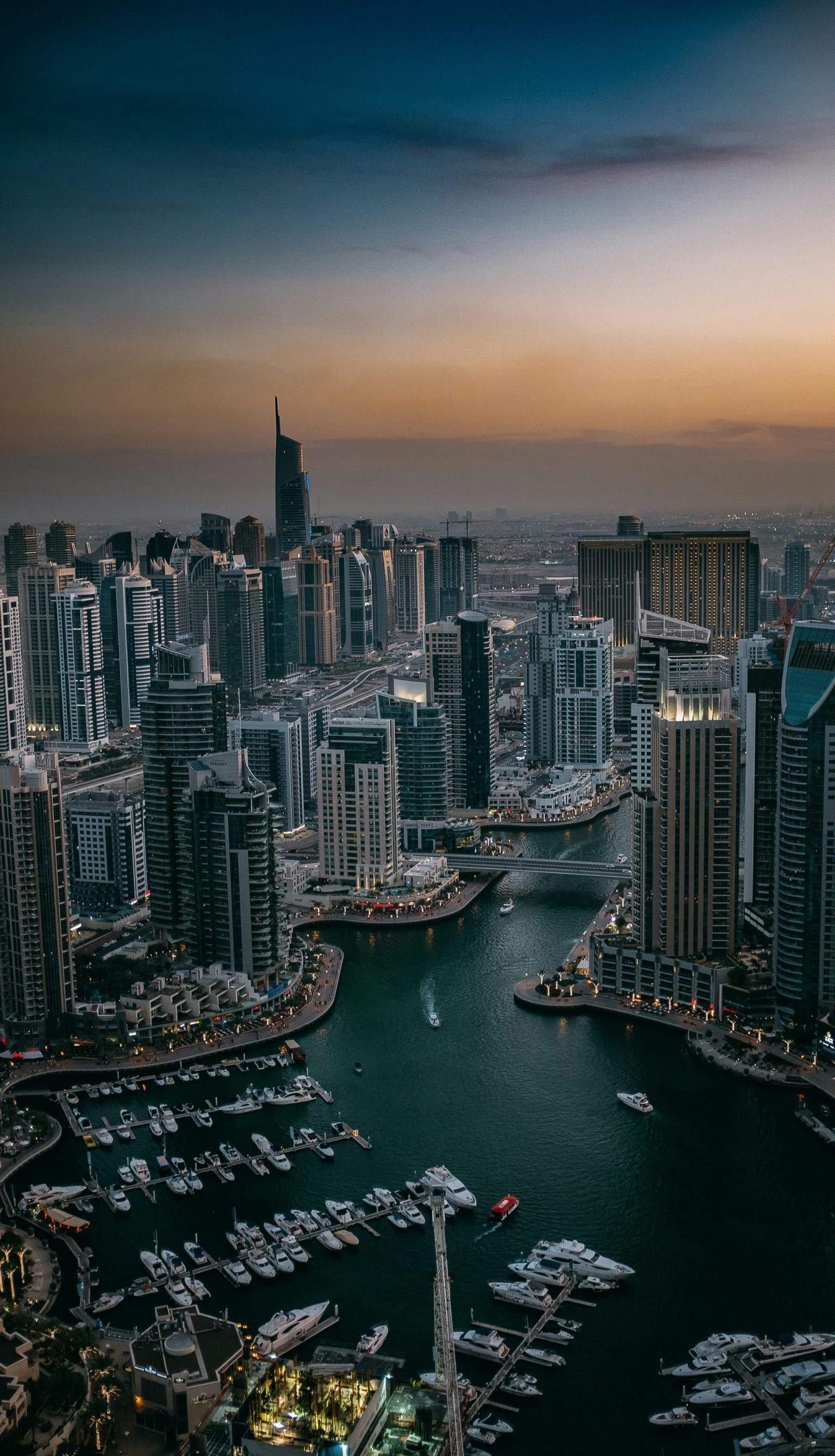 XRP permissioned DEX, Strategy BTC buy, Animoca Dubai