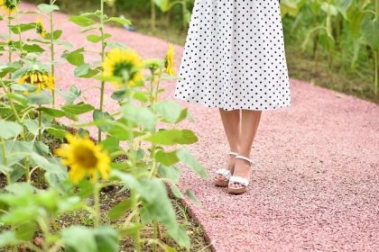 Polkadot price prediction ahead of DOT supply cap
