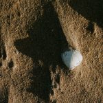 Bitcoin price prediction as BTC reaches weekly high despite US-Iran tensions