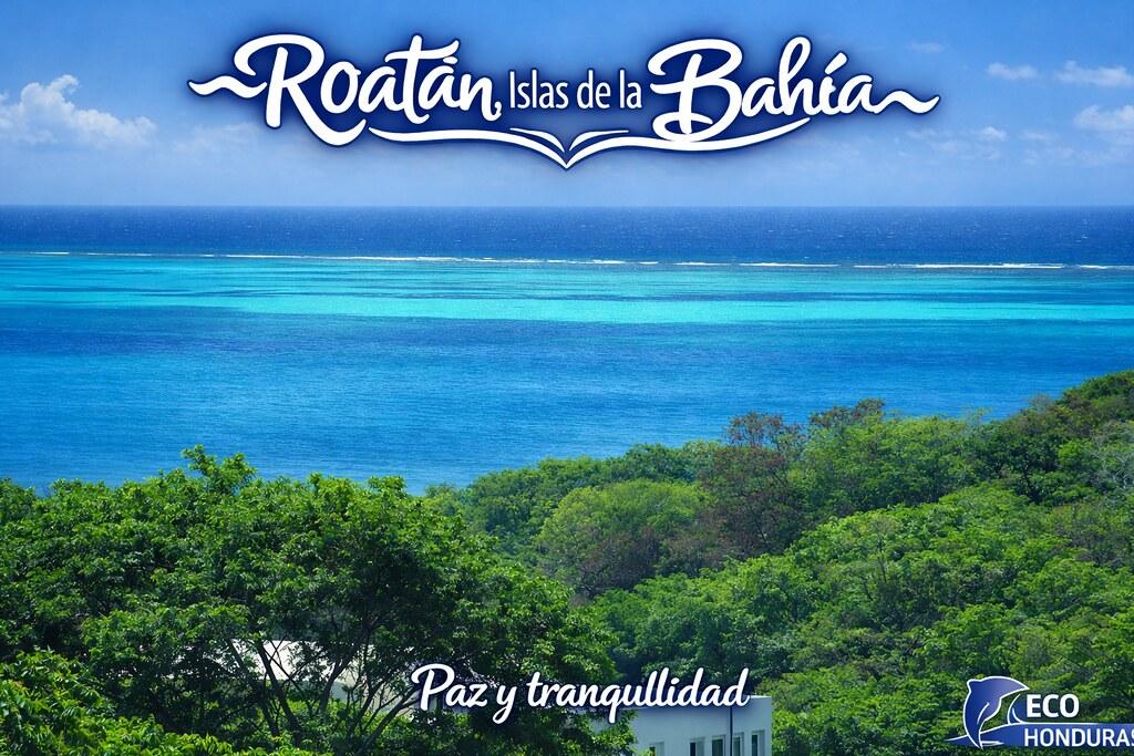 Resolv Labs confirms no loss of assets after USR exploit shakes market