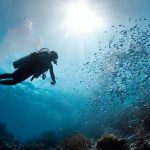 Bithumb moves to reappoint CEO amid AML probe pressure