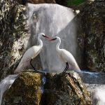 CoinMarketCap shows crypto flips from extreme fear and Bitcoin reclaims 71k