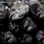 Hyperliquid volume jumps but TradFi still rules commodity depth