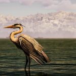 BNB price reclaims 4th spot from XRP