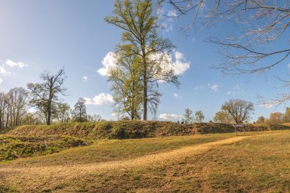 Virginia Approves New Congressional Map