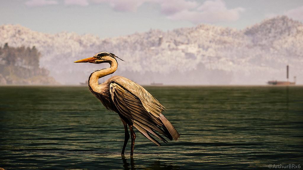 Coinbase Gives XRP Institutional Trading Tools