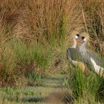 South Africa moves to pull crypto into strict capital flow rules