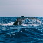 One Matrixport whale now rides $132M in ETH leverage into resistance