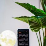 Franklin Templeton and MoonPay open new door for BENJI fund